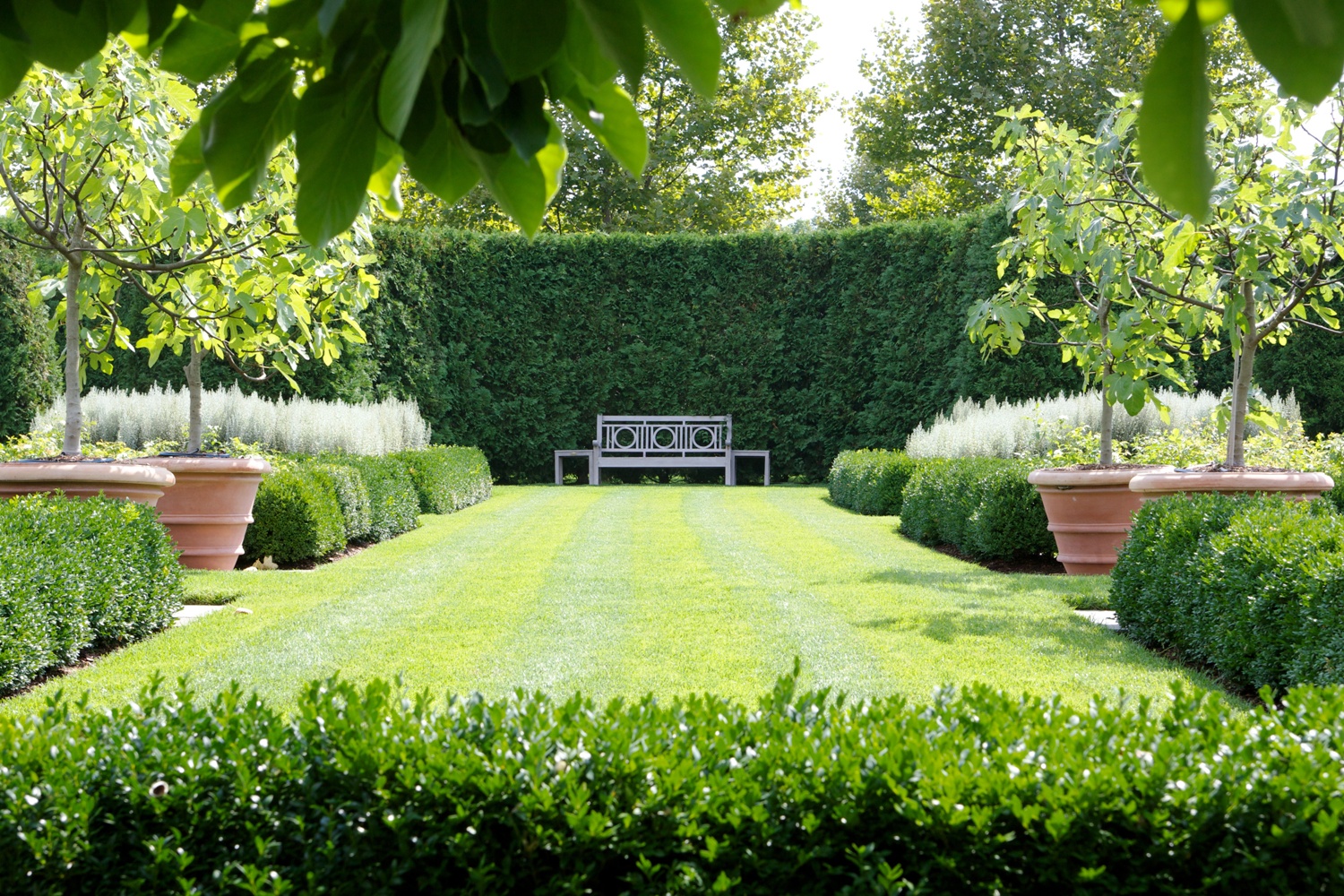 Beautiful Boxwood Garden Ideas