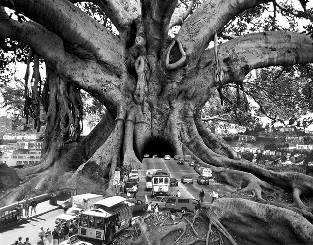 Surreal Art By Thomas Barbey -