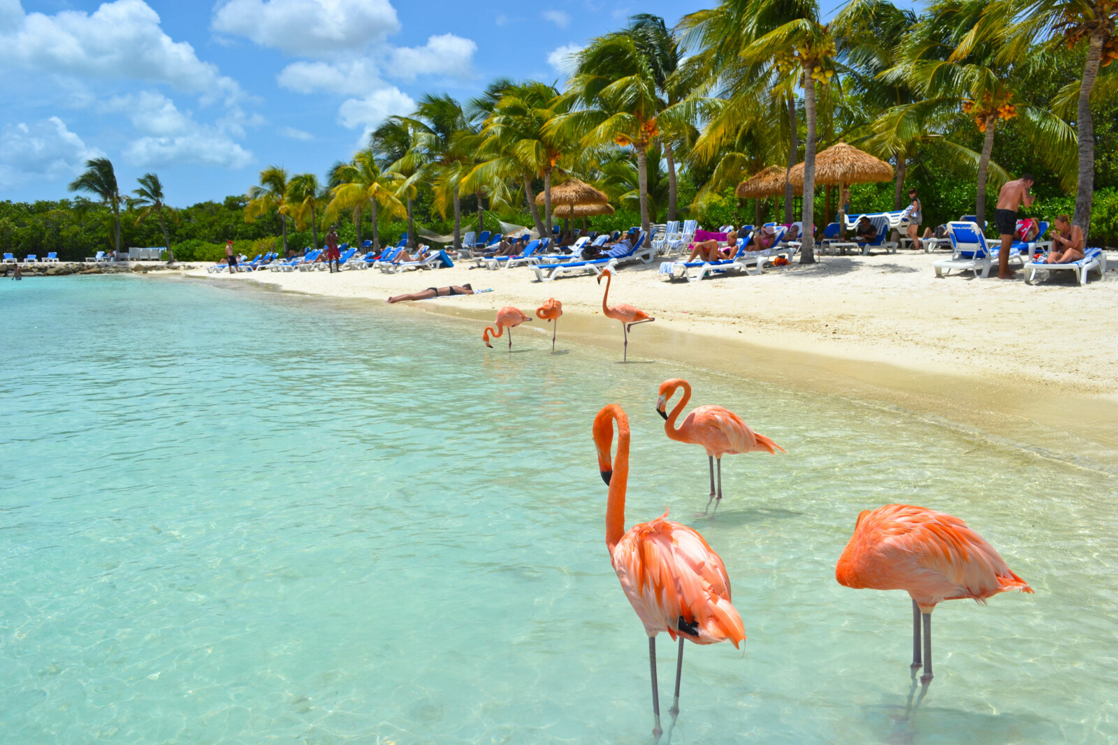 50 Amazing Photos from Aruba