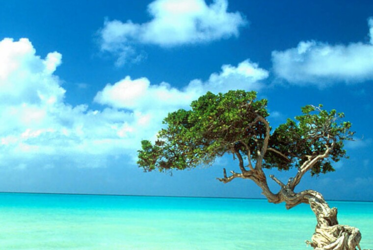 50 Amazing Photos from Aruba -