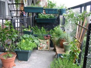 20 Adorable Small Garden Ideas