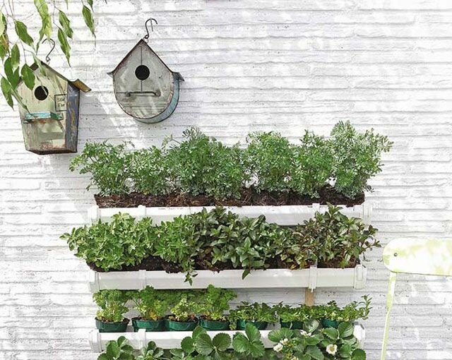 22 Amazing Vertical Garden Ideas for Your Small Yard - Vertical Garden, Small yard