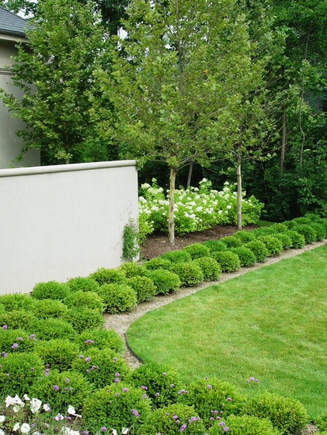 24 Beautiful Boxwood Garden Ideas