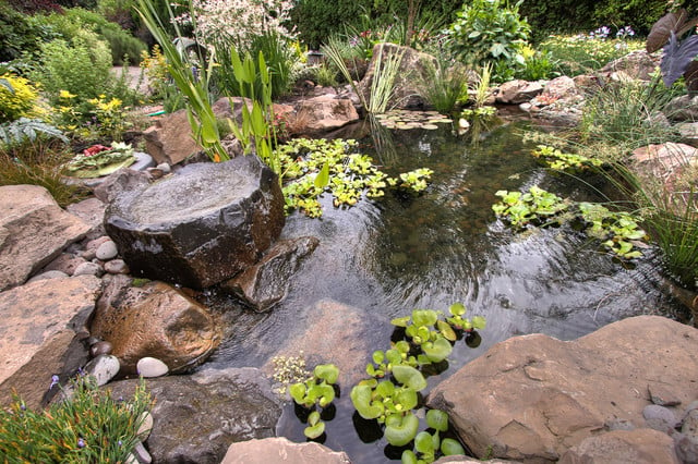 20 Great Pond Design Ideas for Your Garden