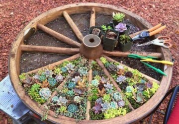 20 Lovely DIY Summer Garden Decorations - Recycle Tree Stumps for Garden Decor, garden decor, diy garden projects, diy garden