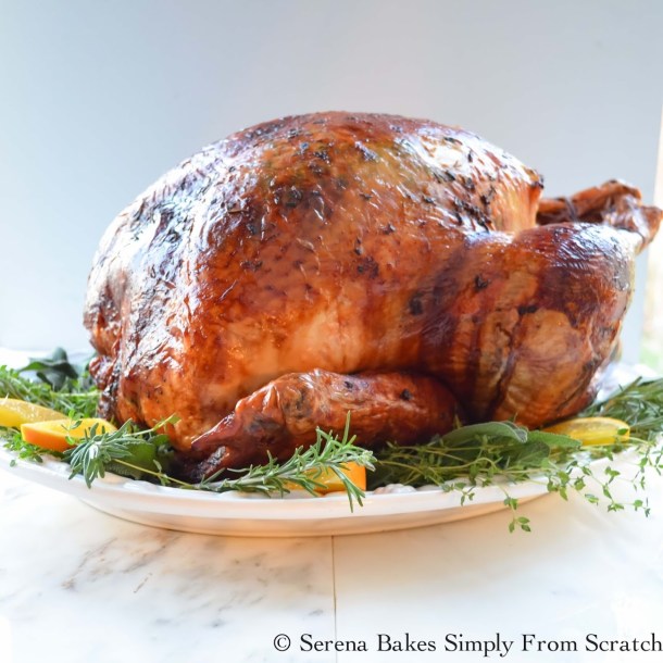 15 Best Thanksgiving Roast Turkey Recipes