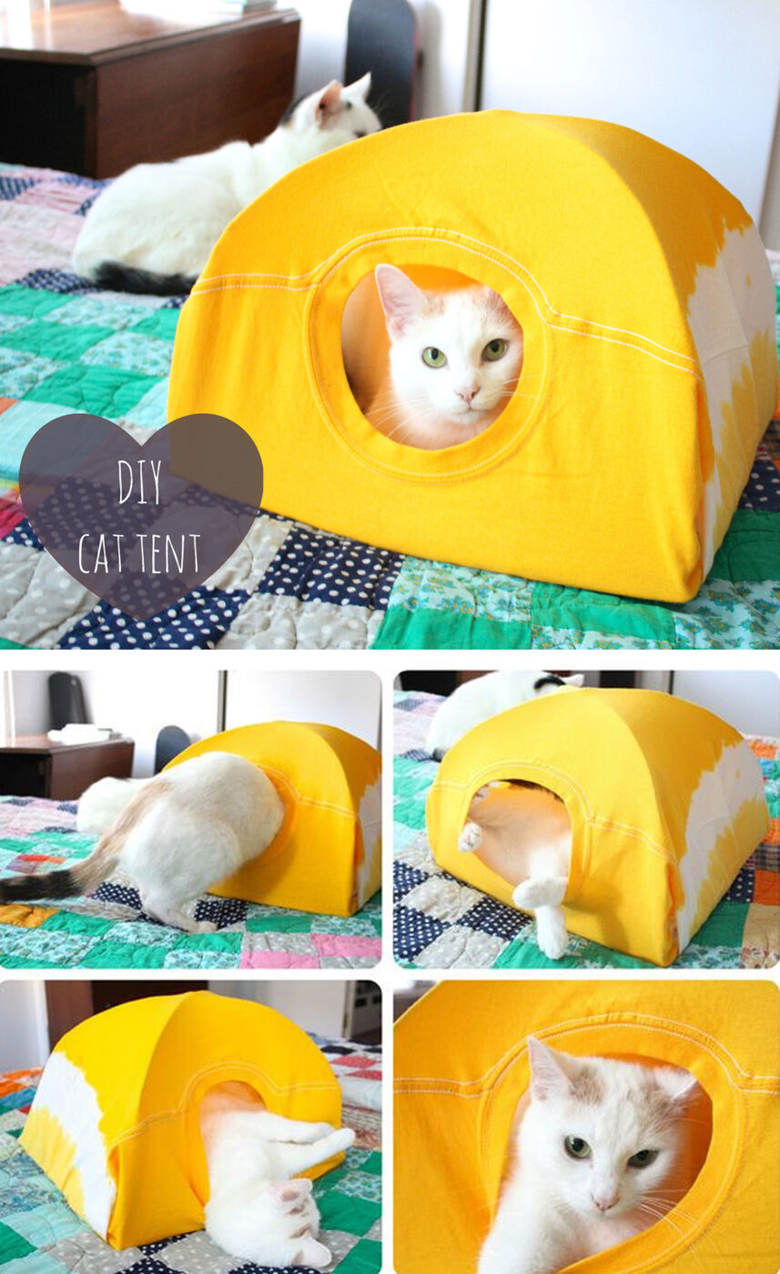 Easy T-shirt and Wire Hanger Cat Tent