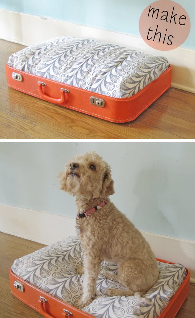 Upcycled Suitcase Bed for the Jet-setting Pet