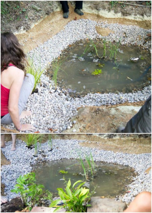 DIY Ecological Liner-Less Natural Garden Pond