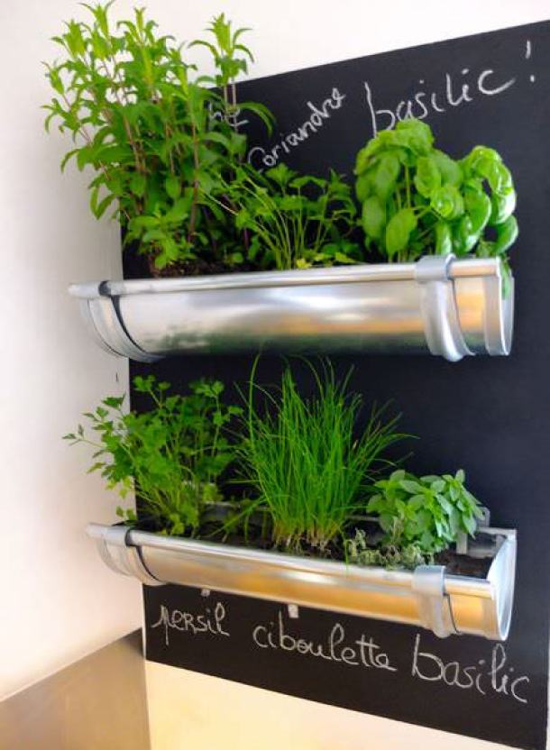 15 DIY Innovative Ways To Grow Your Own Food - Grow Your Own Food, diy garden projects, DIY Garden Plant, DIY Garden Ideas, diy garden, balcony garden