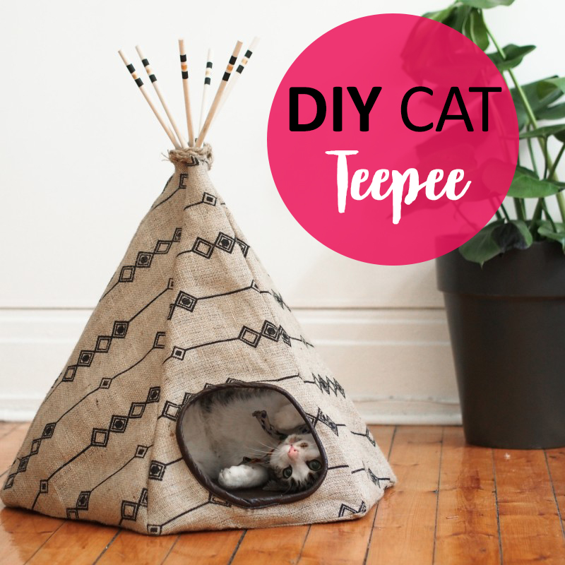 DIY Cat Teepee Bed and Hiding Spot