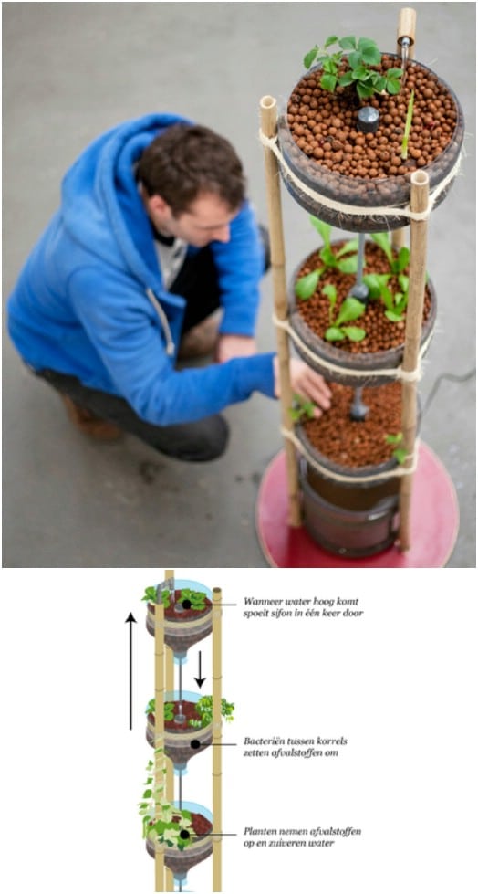 DIY Mini Aquaponics Tower Garden