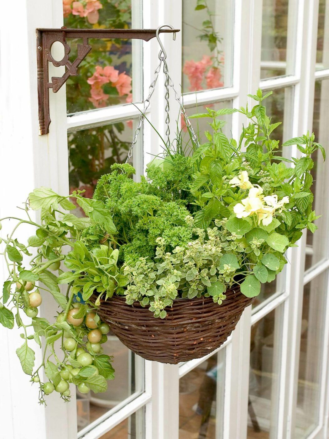 Herb Garden Hanging Basket Project