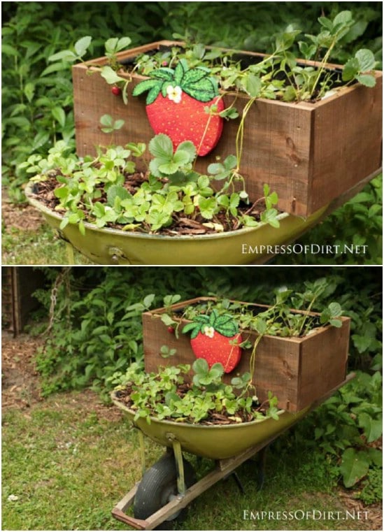 DIY Rolling Strawberry Planter