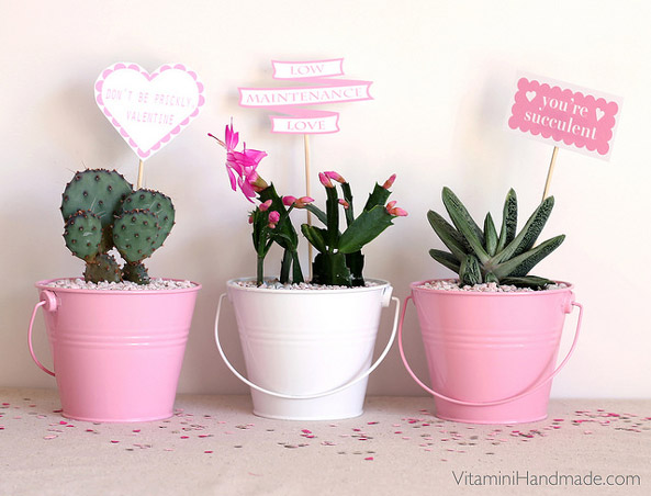 13 Lovely DIY Valentine’s Day Succulents - Succulent, DIY Valentine’s Day Succulents, diy Valentine's day gifts, diy Valentine's day, DIY Succulents