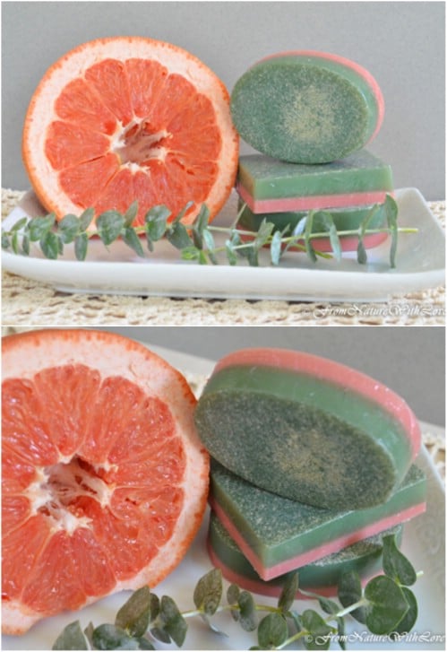 Fresh Smelling Grapefruit And Eucalyptus Soap