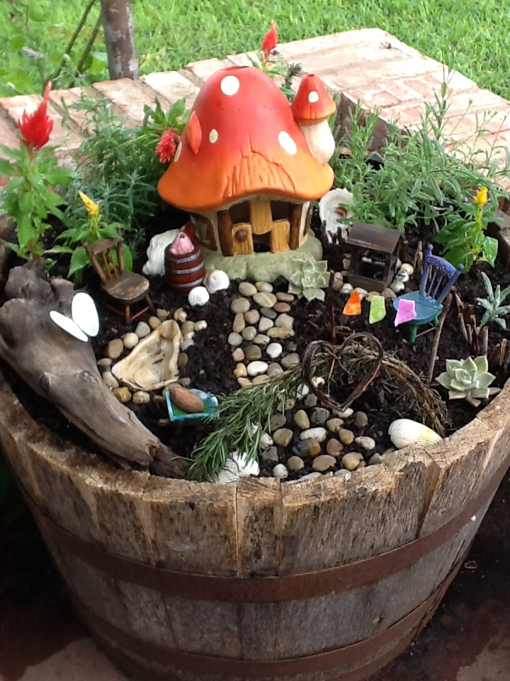 The Magic Mushroom Garden