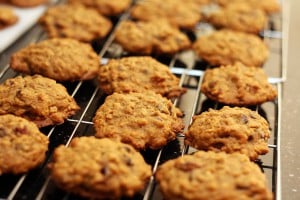 15 Yummy Lactation Cookie Recipes for Breastfeeding Moms (Part 1) - Lactation Cookie Recipes for Breastfeeding Moms, Lactation Cookie Recipes, Lactation Cookie, Cookie Recipes