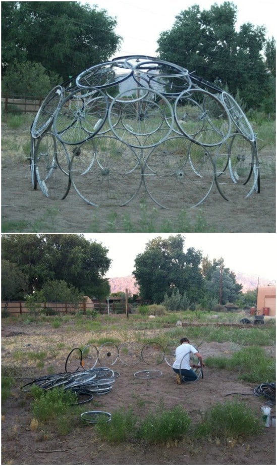 DIY Bike Wheel Dome Plant Support