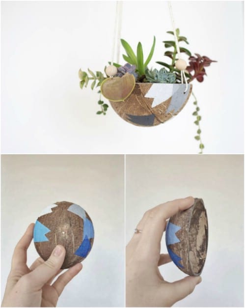 Upcycled Coconut Planter