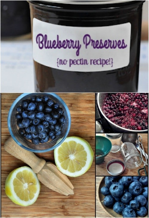Simple Homemade Blueberry Preserves