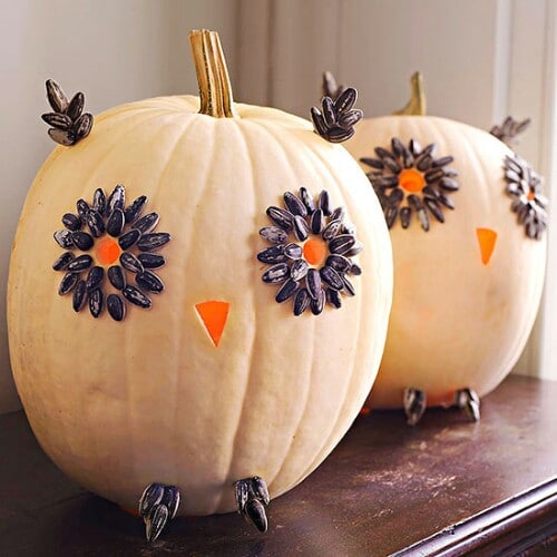4. Cute Owl Pumpkins