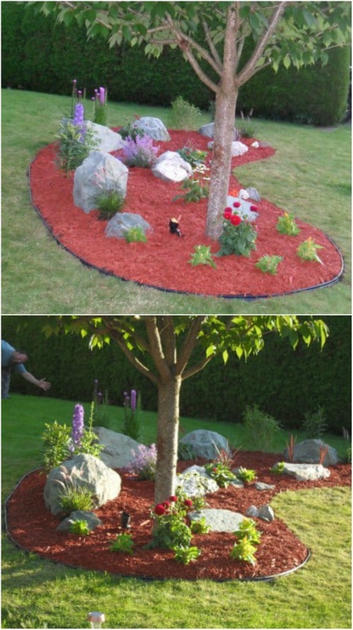 DIY Professionally Landscaped Rock Garden