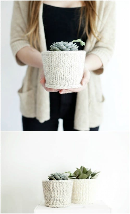 Quick And Easy Knit Plant Cover