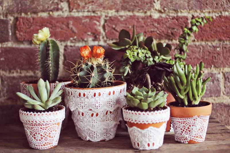 DIY Lace Plant Pots