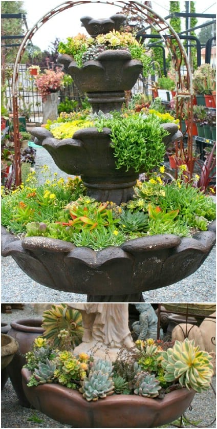 DIY Succulent Water Fountain