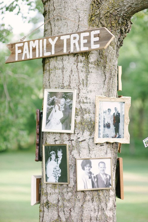Decorative Frames On Tree
