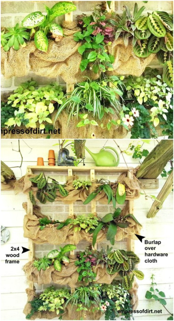 Outdoor Succulent Plant Shelf