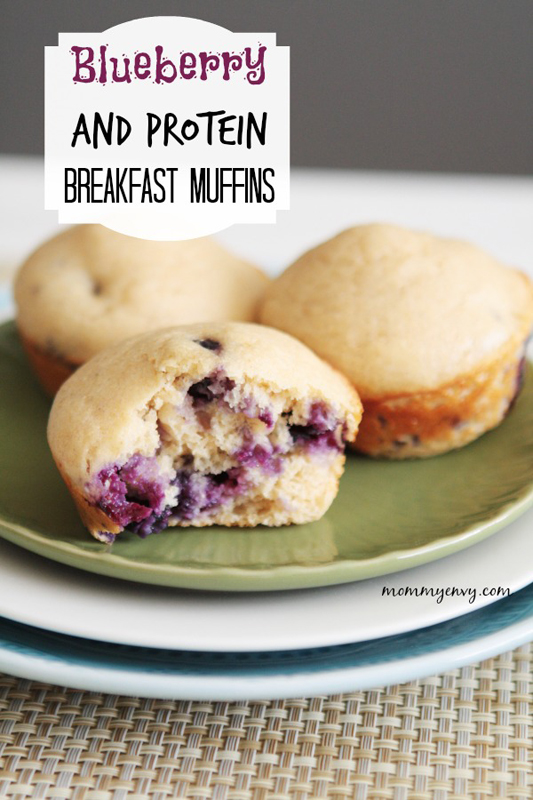 Blueberry and Protein Muffins | 25+ Quick/On The Go Breakfast Ideas