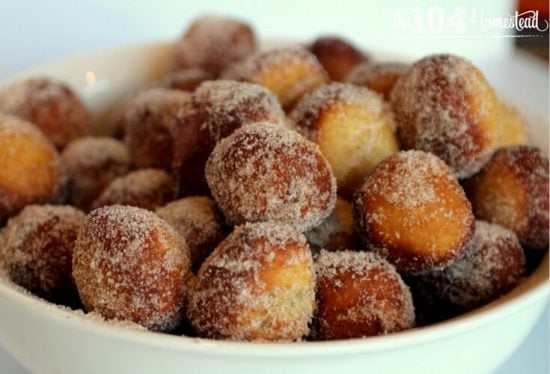 Cinnamon Sugar Sourdough Donut | 25+ Donut Recipes