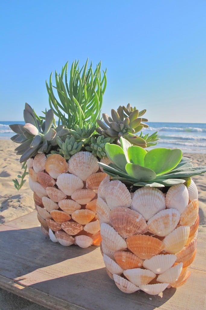 DIY Beachy Seashell Planter