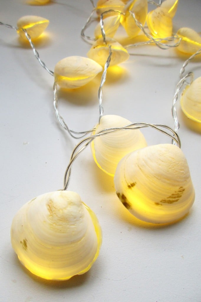 DIY Seashell String Lights