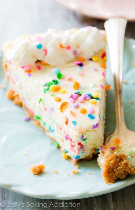 Funfetti Cheesecake | 25+ Cheesecake Recipes