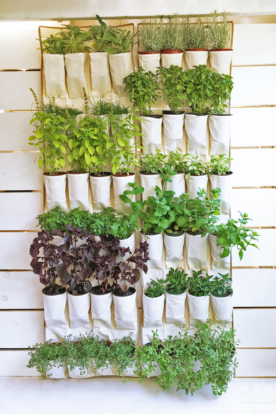garden herb diy vertical indoor gardens organizer shoe craftsonfire planter hanging brilliant