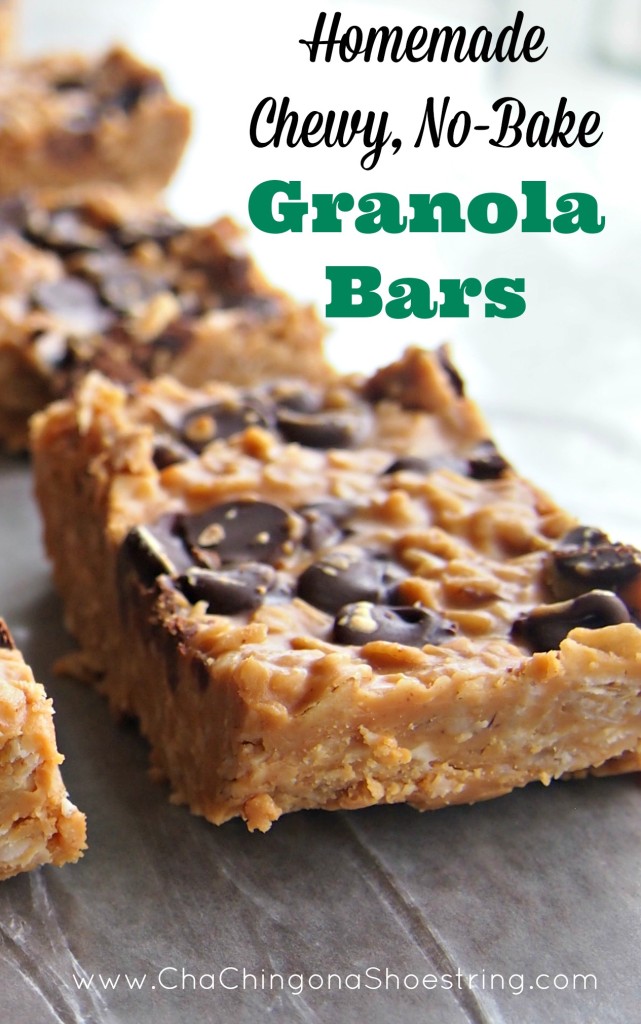 Homemade Chewy No Bake Granola Bars | 25+ Granola recipes