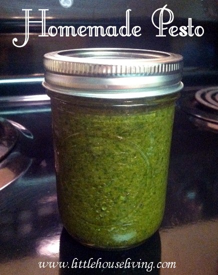 Homemade Pesto Recipe | 25+ Canning Recipes