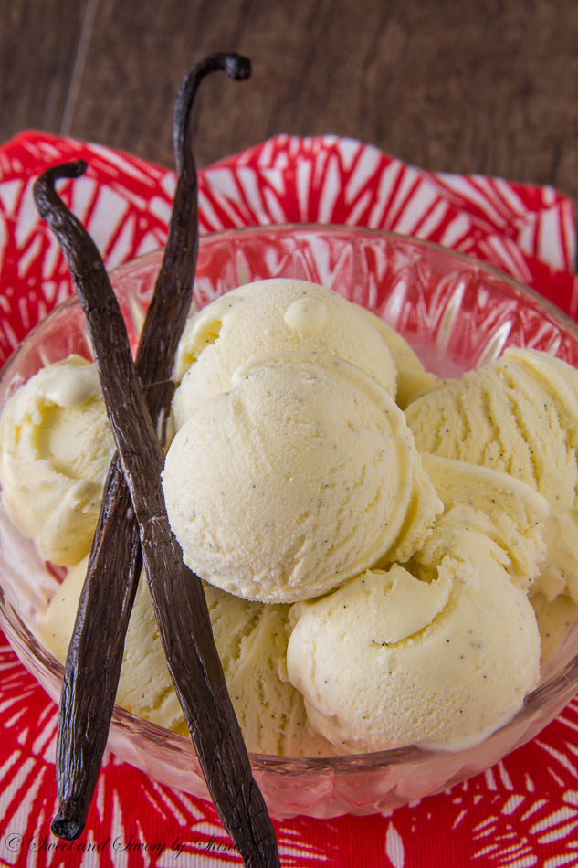 Homemade Vanilla Bean Ice Cream | 25+ homemade ice cream recipes