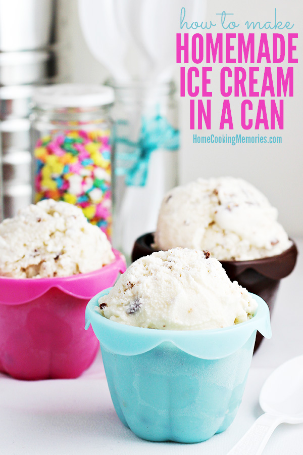 Homemade Ice Cream In A Can