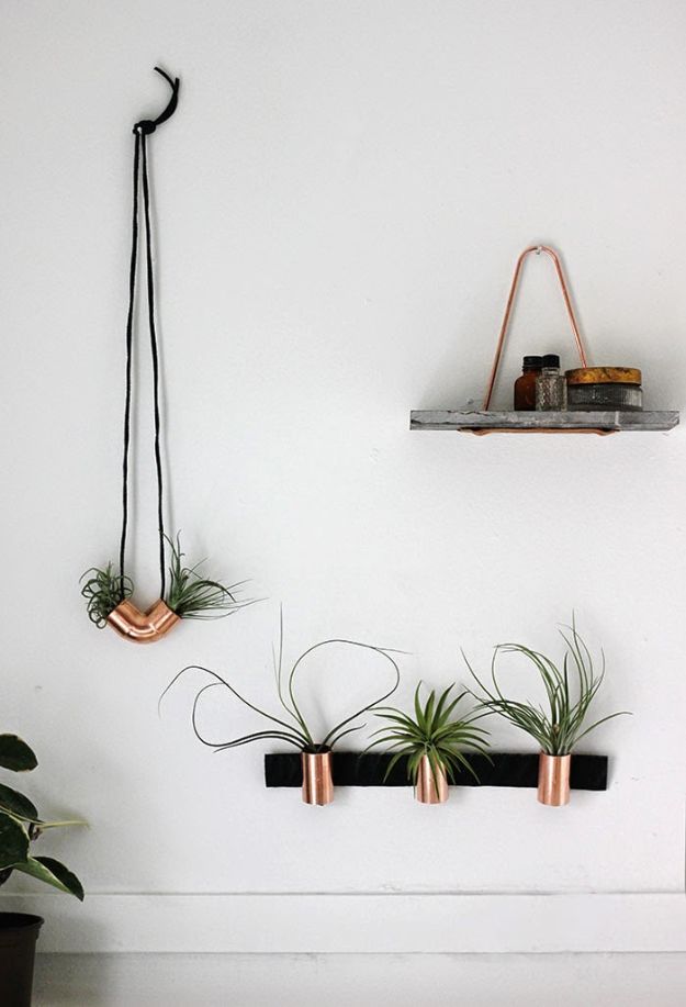 Cheap Wall Decor Ideas - Minimal Copper Airplant Holders - Cute and Easy Room Decor for Teens - Ideas for Teenager Bedroom Walls - Boys and Girls Room Canvas Wall Art and Decorating #teen #roomdecor #diydecor https://diyprojectsforteens.com/cheap-diy-wall-decor-ideas