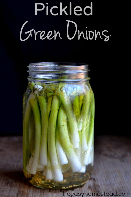 Pickled Green Onions | 25+ Canning Recipes