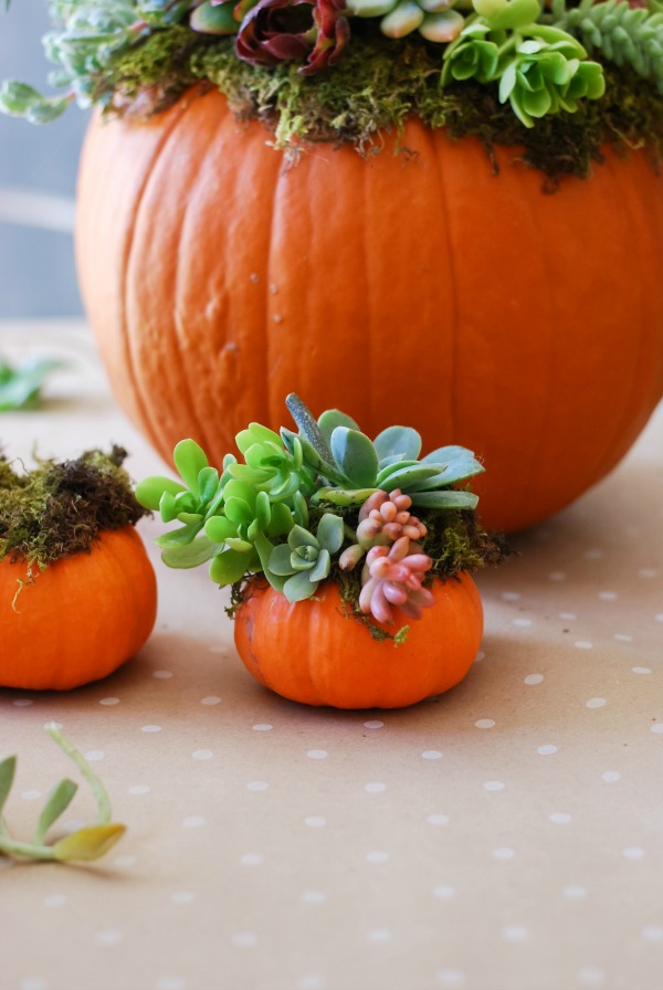 These 9 No-Carve Pumpkin DIYs are PERFECTION! They're completely safe for clumsy people as well as kids.