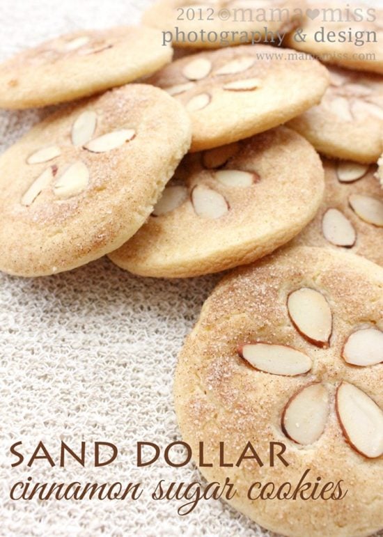 Sand Dollar Cinnamon Sugar Cookies | 25+ Hawaiian Party Foods