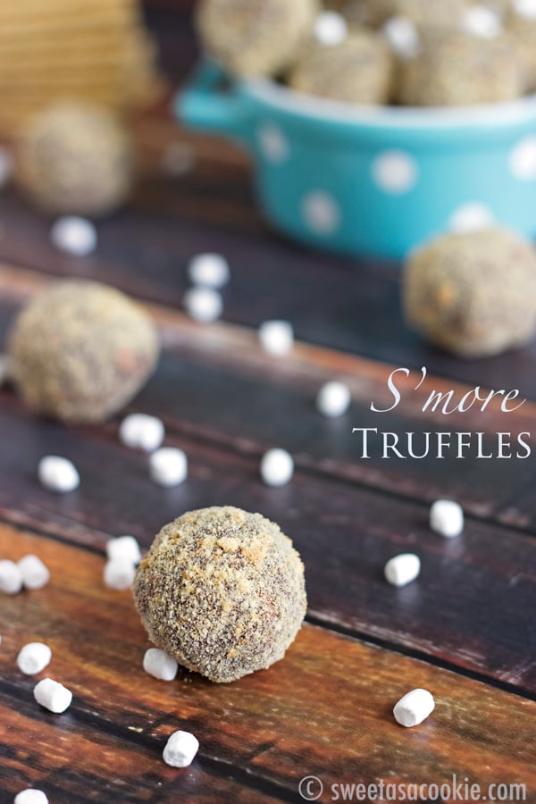 S'more Truffles | 25+ S'mores Recipes
