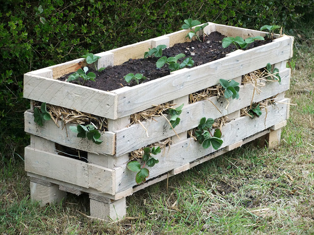 Strawberry Pallet Planter | 25+ garden pallet projects