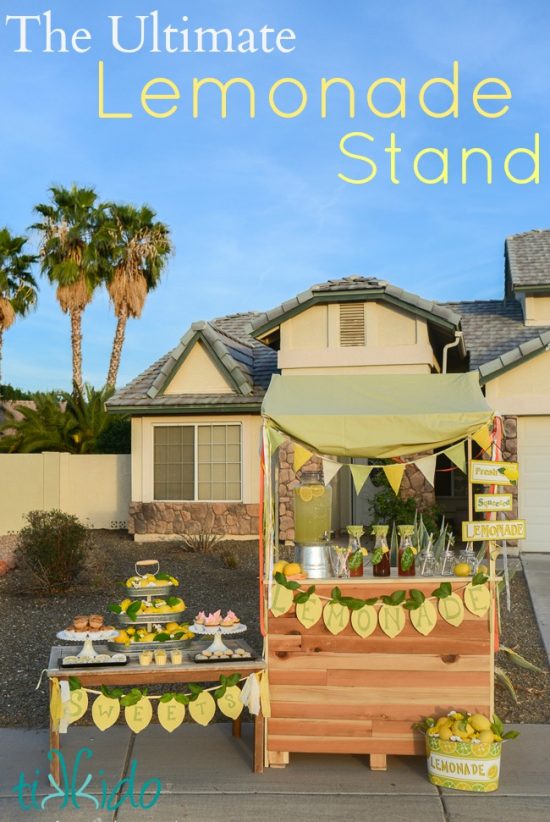 Ultimate Lemonade Stand | 25+ Lemonade Stand Ideas