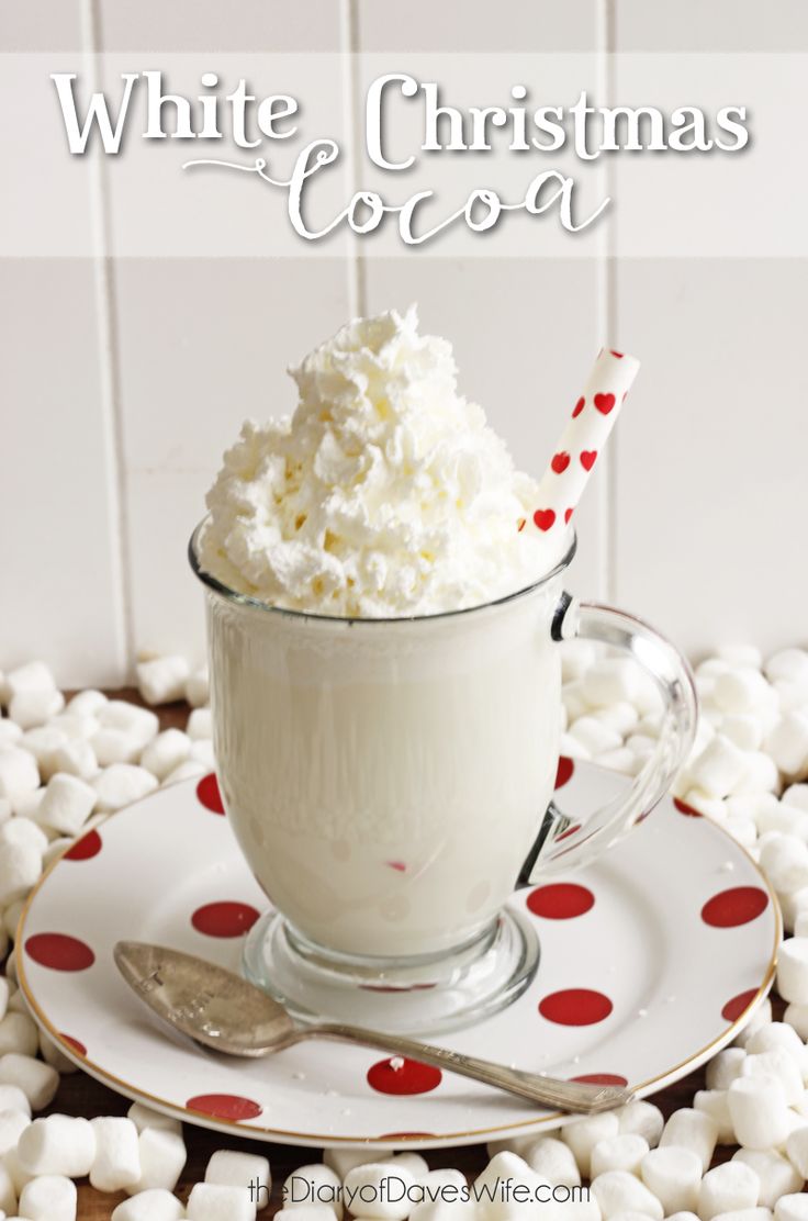 White Christmas Cocoa 25+ Fun Christmas Breakfast Ideas for Kids | NoBiggie.net